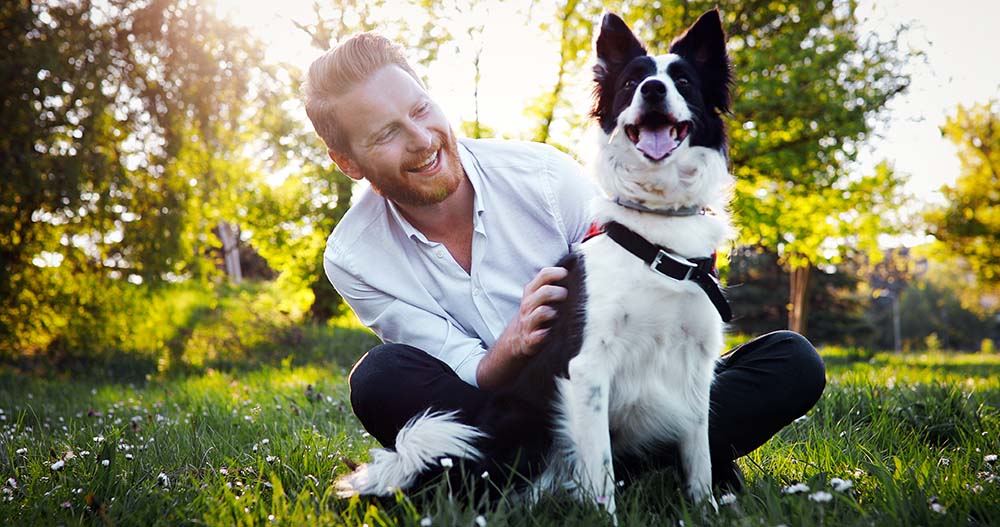 Petsie-Community-image-01